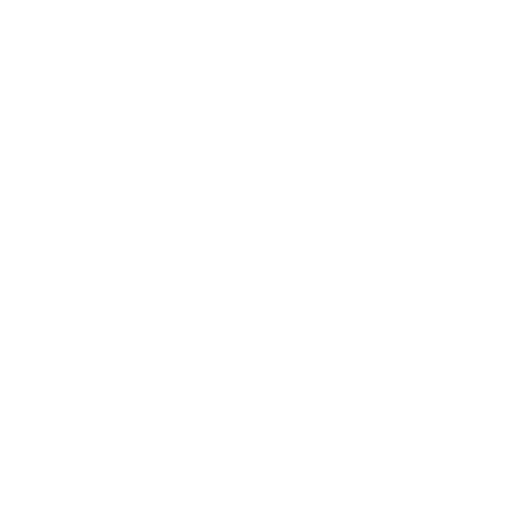 Loods 5
